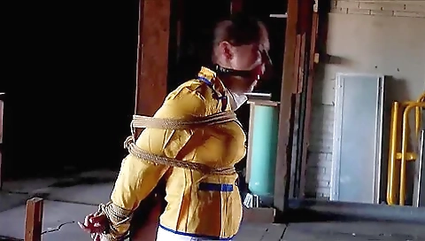 Tied To Pole