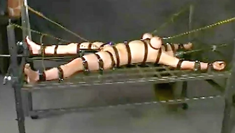 Insex - Painful Session