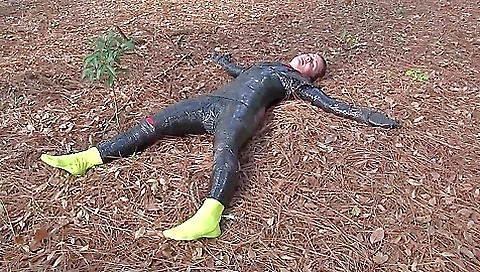 Forest Mummification Forest Mummification